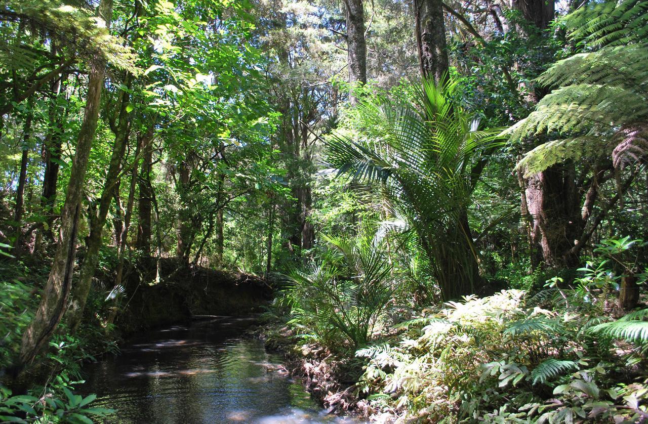 Kauri Villas Parua Bay Eksteriør bilde